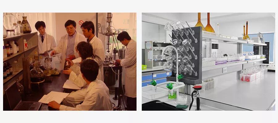 GA黄金甲·(中国区)官方网站