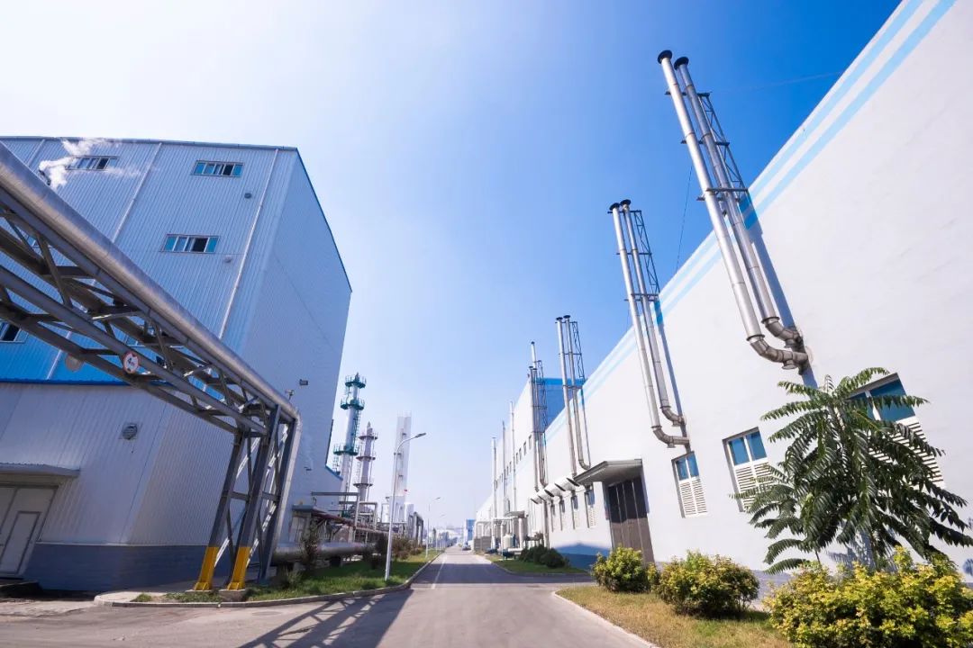 GA黄金甲·(中国区)官方网站