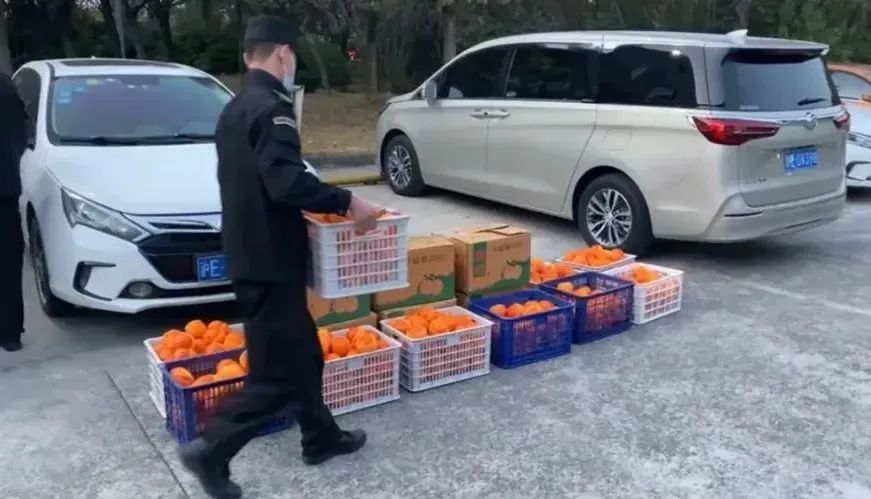 GA黄金甲·(中国区)官方网站